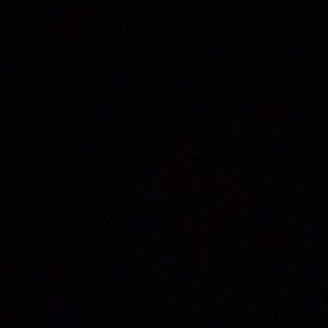 Meet your Posher, Malia